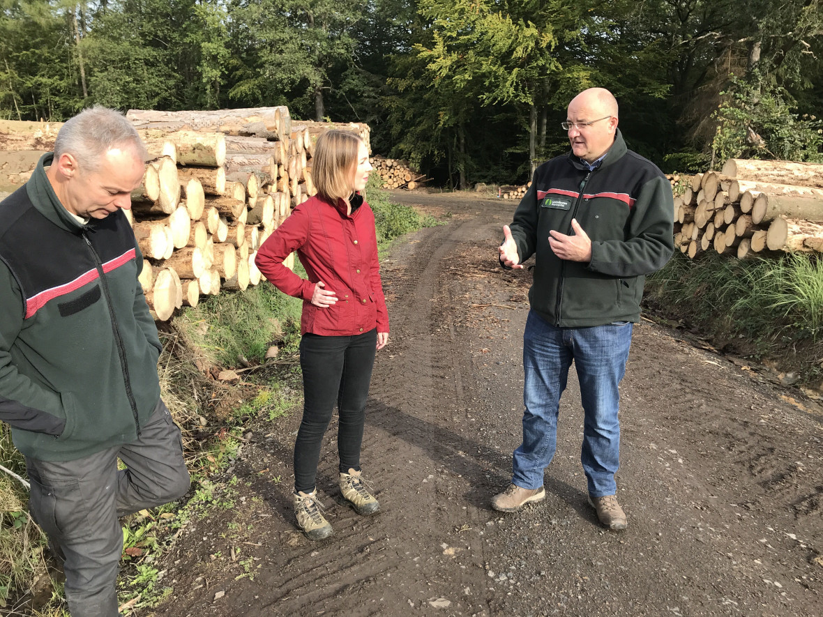 Waldbegehung mit Revierfrster Thomas Tullius (links) und Forstamtsleiter Uwe Hoffmann (rechts)